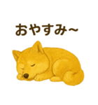 黄金秋田犬スタンプ（個別スタンプ：12）