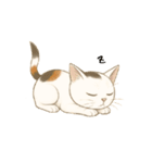 カワイイ猫ちゃん！（個別スタンプ：3）