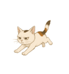 カワイイ猫ちゃん！（個別スタンプ：4）