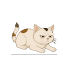 カワイイ猫ちゃん！（個別スタンプ：5）