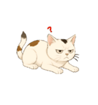 カワイイ猫ちゃん！（個別スタンプ：7）