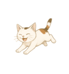 カワイイ猫ちゃん！（個別スタンプ：8）