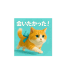 動くよ！まるっと猫から愛のメッセージ（個別スタンプ：1）