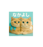 動くよ！まるっと猫から愛のメッセージ（個別スタンプ：5）