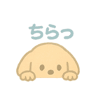 かわいい♡いぬ♡ スタンプ（個別スタンプ：1）