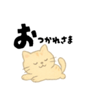 【毎日つかえる】ポジティブにゃんこ（個別スタンプ：3）