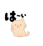 【毎日つかえる】ポジティブにゃんこ（個別スタンプ：12）