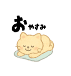 【毎日つかえる】ポジティブにゃんこ（個別スタンプ：20）