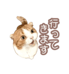 ちまきのすたんぷ①（個別スタンプ：27）