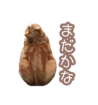 ちまきのすたんぷ①（個別スタンプ：28）