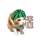 ちまきのすたんぷ①（個別スタンプ：34）