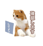 ちまきのすたんぷ①（個別スタンプ：35）