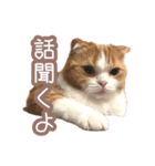ちまきのすたんぷ①（個別スタンプ：36）