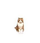 ちまきのすたんぷ①（個別スタンプ：40）