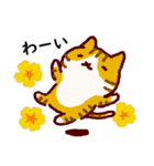 普段使いの手描きねこ7 《園芸編》（個別スタンプ：1）