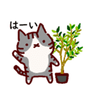 普段使いの手描きねこ7 《園芸編》（個別スタンプ：6）