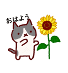 普段使いの手描きねこ7 《園芸編》（個別スタンプ：13）