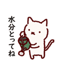 普段使いの手描きねこ7 《園芸編》（個別スタンプ：16）