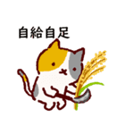 普段使いの手描きねこ7 《園芸編》（個別スタンプ：17）