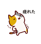 普段使いの手描きねこ7 《園芸編》（個別スタンプ：19）