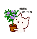 普段使いの手描きねこ7 《園芸編》（個別スタンプ：34）