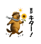 マーモット盛り合わせ 4 【夏盛り】（個別スタンプ：1）