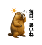 マーモット盛り合わせ 4 【夏盛り】（個別スタンプ：3）