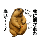マーモット盛り合わせ 4 【夏盛り】（個別スタンプ：9）