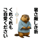 マーモット盛り合わせ 4 【夏盛り】（個別スタンプ：14）