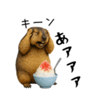 マーモット盛り合わせ 4 【夏盛り】（個別スタンプ：22）