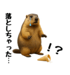 マーモット盛り合わせ 4 【夏盛り】（個別スタンプ：29）