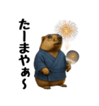 マーモット盛り合わせ 4 【夏盛り】（個別スタンプ：36）