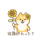 ひまわり柴犬と夏のともだち（個別スタンプ：3）