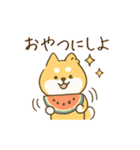 ひまわり柴犬と夏のともだち（個別スタンプ：8）
