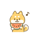 ひまわり柴犬と夏のともだち（個別スタンプ：12）