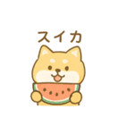 ひまわり柴犬と夏のともだち（個別スタンプ：21）