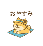 ひまわり柴犬と夏のともだち（個別スタンプ：36）