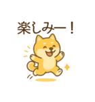 ひまわり柴犬と夏のともだち（個別スタンプ：37）