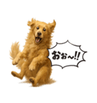 ゴールデンレトリバー☆リアクション！（個別スタンプ：8）
