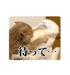 もろむくスタンプ9（個別スタンプ：6）