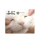 もろむくスタンプ9（個別スタンプ：7）