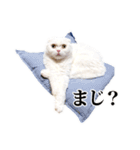 もろむくスタンプ9（個別スタンプ：10）