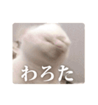 もろむくスタンプ9（個別スタンプ：12）