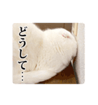 もろむくスタンプ9（個別スタンプ：13）