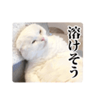 もろむくスタンプ9（個別スタンプ：16）