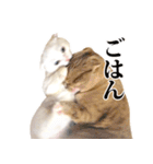 もろむくスタンプ9（個別スタンプ：21）