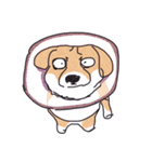 アニマルズ？コーギーパーティーver.2（個別スタンプ：4）