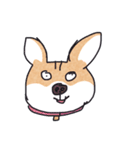 アニマルズ？コーギーパーティーver.2（個別スタンプ：9）
