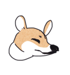 アニマルズ？コーギーパーティーver.2（個別スタンプ：14）