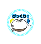 丸型腹巻きアザラシ君スタンプ002（個別スタンプ：1）